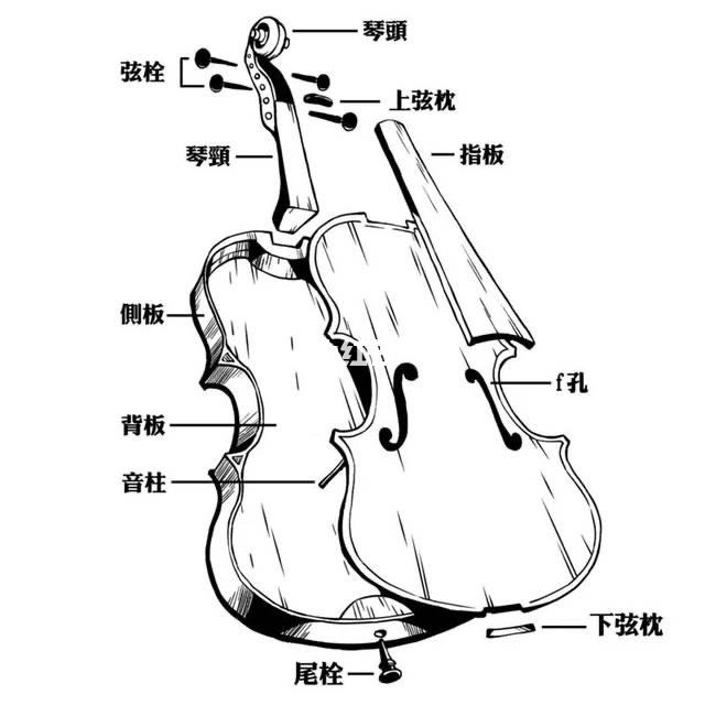 分析！小提琴有几根“星星点点”
