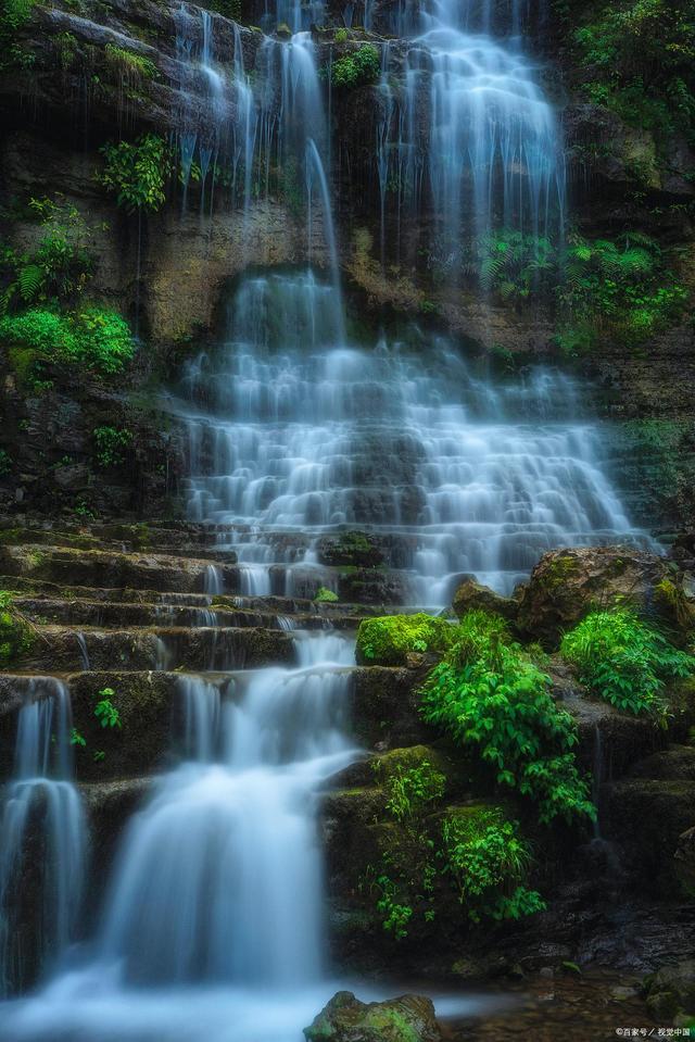 讲解!圣实力讨论“高情逸态” 讲解!圣实力讨论“高情逸态”