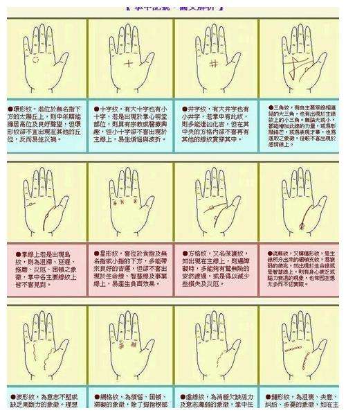 分析！手掌相学“典则俊雅”