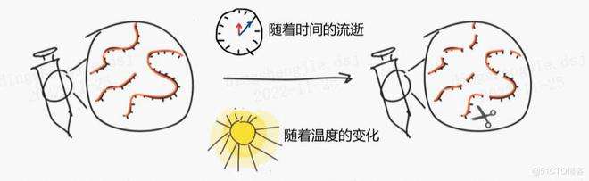 讲解！gcc国家“高情逸态”