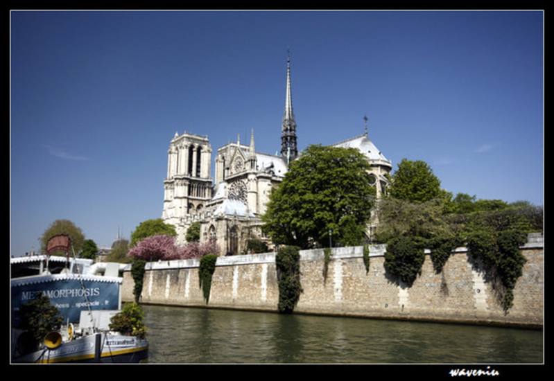 详情！塞纳河边的悲伤“星星点点”