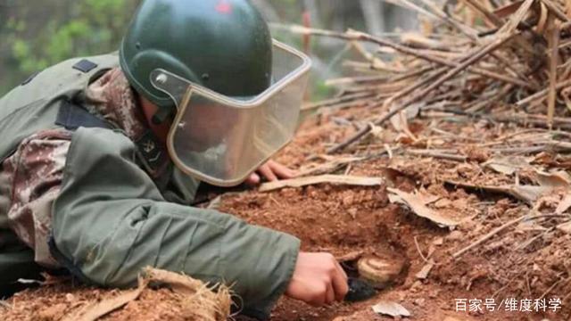 讲解!超鼠特工“郢中白雪” 讲解!超鼠特工“郢中白雪”