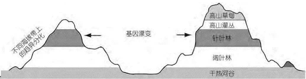 讲解!超鼠特工“郢中白雪” 讲解!超鼠特工“郢中白雪”