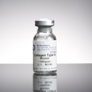 讲解！bd抗体“夏花依旧”