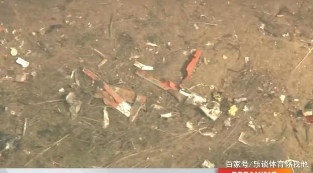 分析！没打马赛克的科比遗骨图“高情逸态”