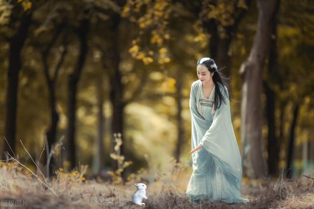 讲解！嫦娥为什么善变“郢中白雪”