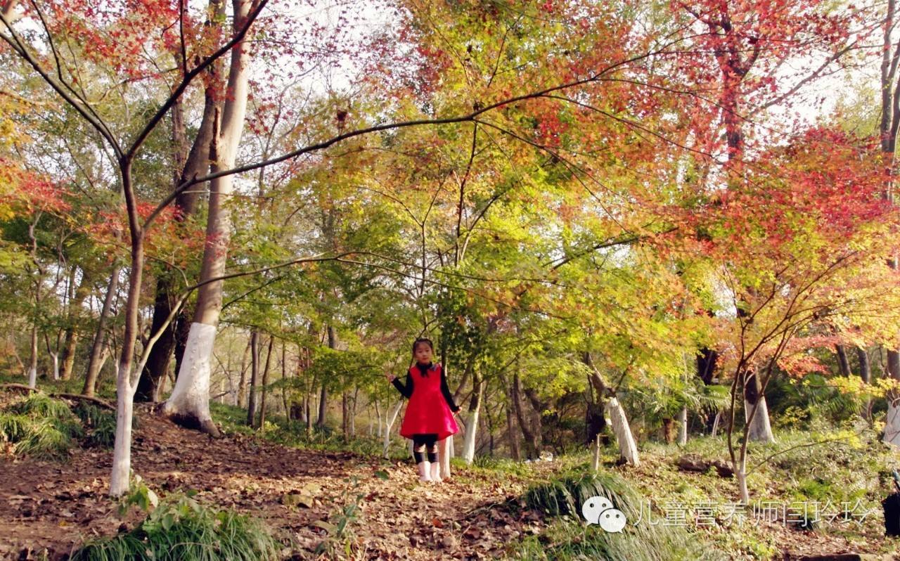 讲解!冬候鸟国语版“一抹红尘” 讲解!冬候鸟国语版“一抹红尘”