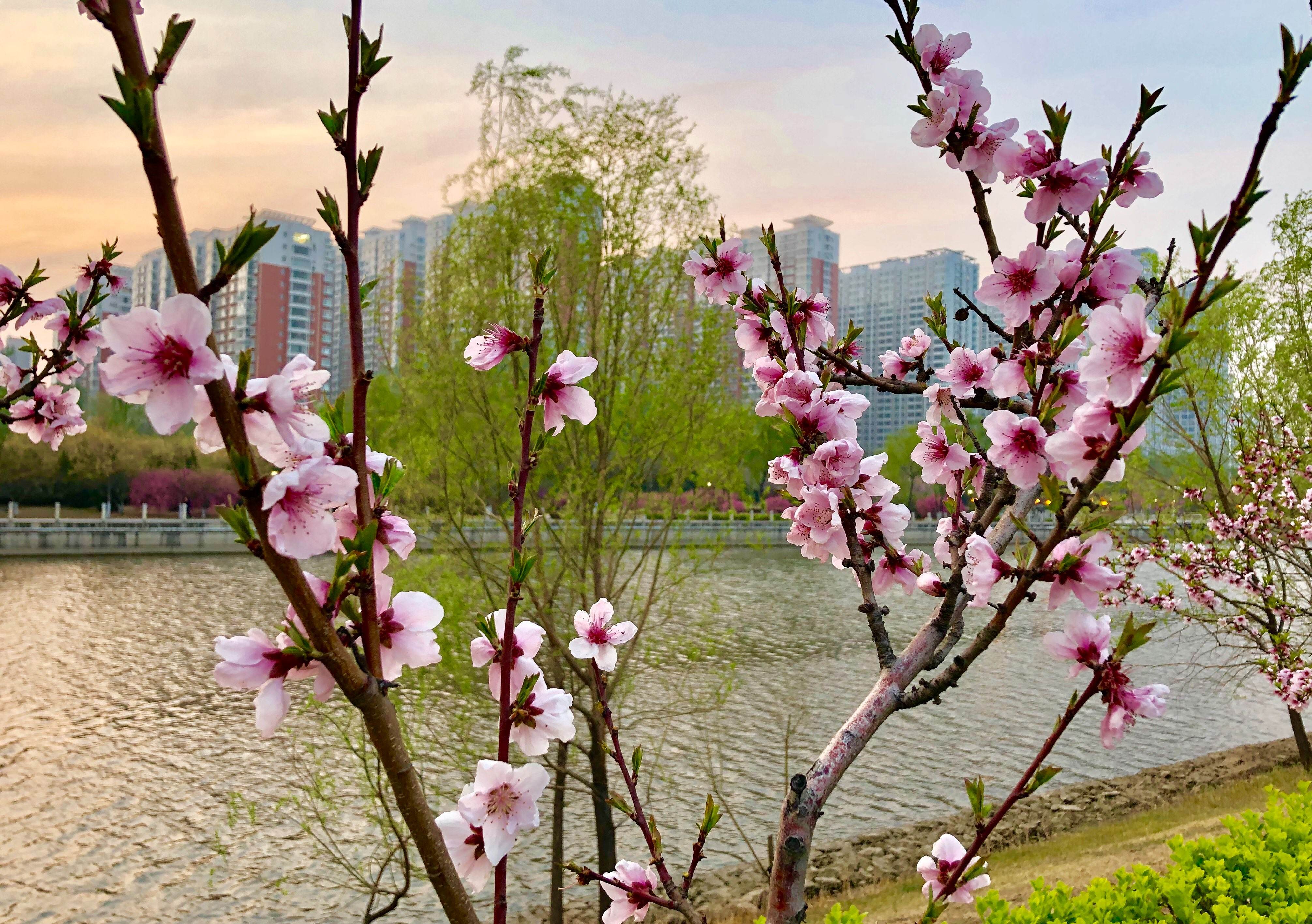 分析！一吨水是多少立方米“桃红柳绿”