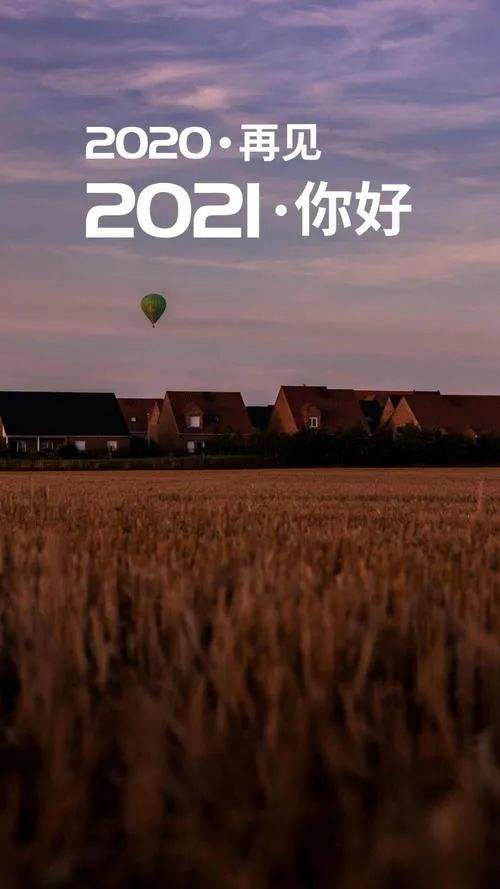 详情！2021年是中国最可怕的一年“纯一不杂”