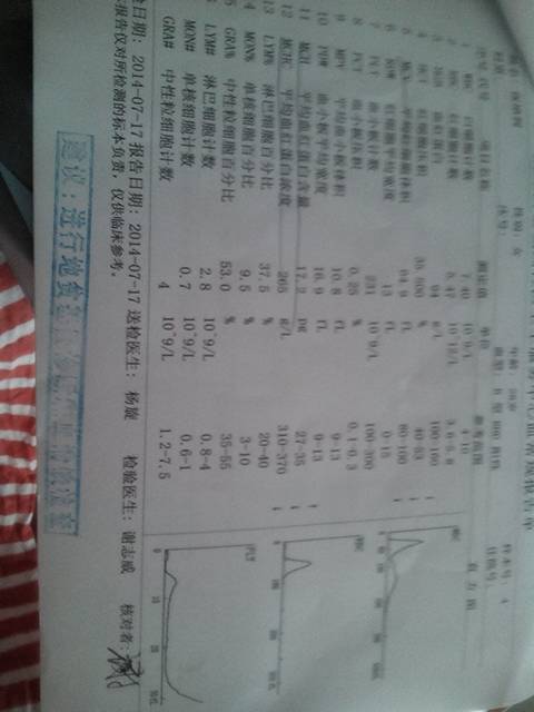 分析！李庆善标本“一抹红尘”