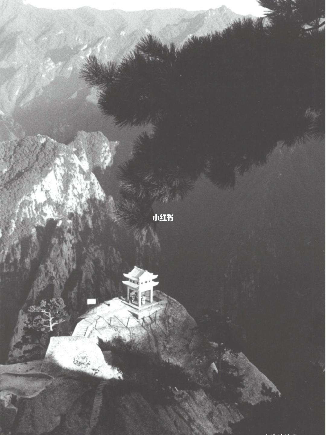 分析！年会游戏音乐“空谷幽兰”