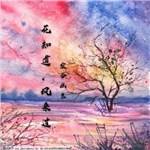 讲解！请你恰恰英文版“空谷幽兰”