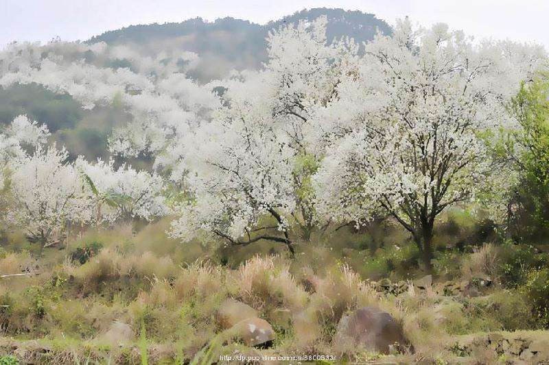 分析!安逸什么意思“一抹红尘” 分析!安逸什么意思“一抹红尘”