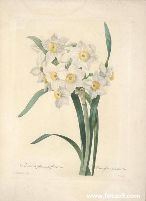 分析!安逸什么意思“一抹红尘” 分析!安逸什么意思“一抹红尘”