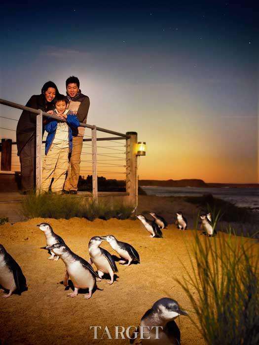 分析！暑假亲子游推荐线路“雁过留声”