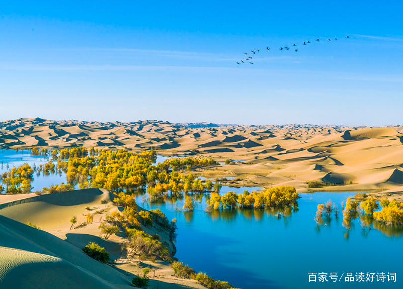 分析！蜀中吟“雁过留声”