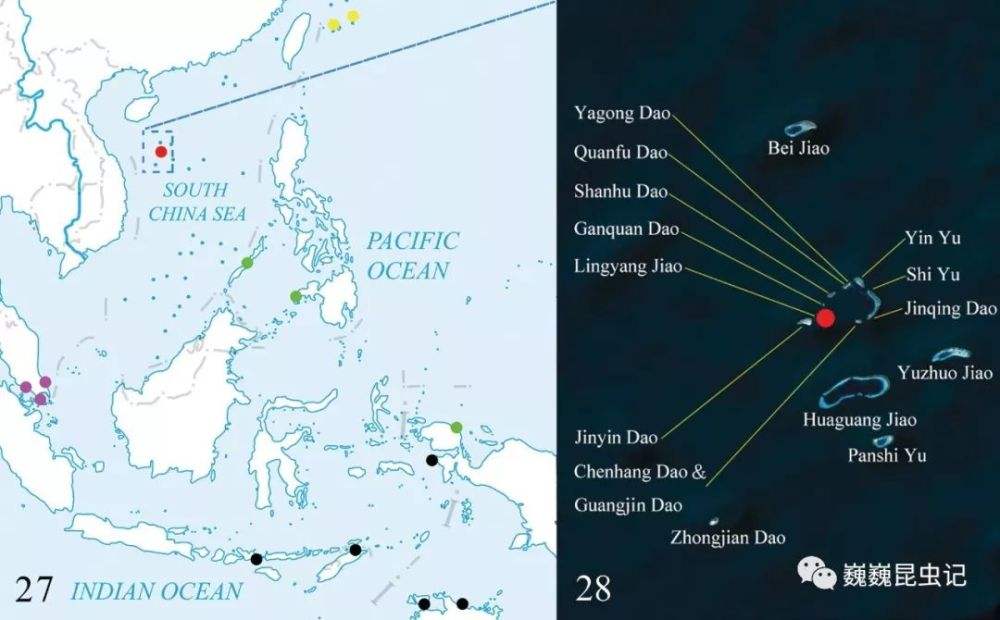 达人分享！西沙群岛实际控制图“雁过留声”