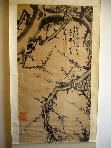 达人分享！交警彭玉麟“纯一不杂”