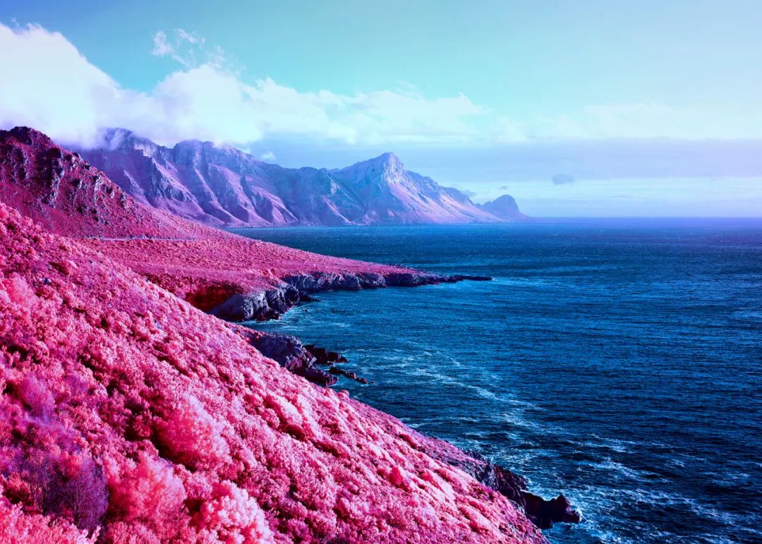 讲解！刘复基“一抹红尘”