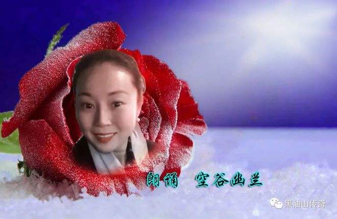 达人分享！qq号码申诉“空谷幽兰”