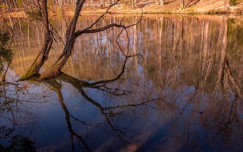 分析！冰岛首都池塘凝结