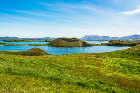 分析！冰岛首都池塘凝结
