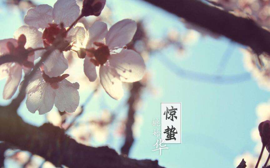 达人分享！2020年几点几分惊蛰