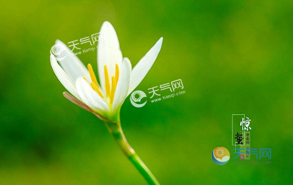 达人分享！2020年几点几分惊蛰