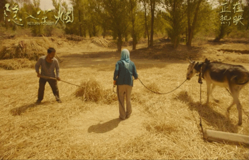 达人分享！穿越之我的妓女人生“星星点点”