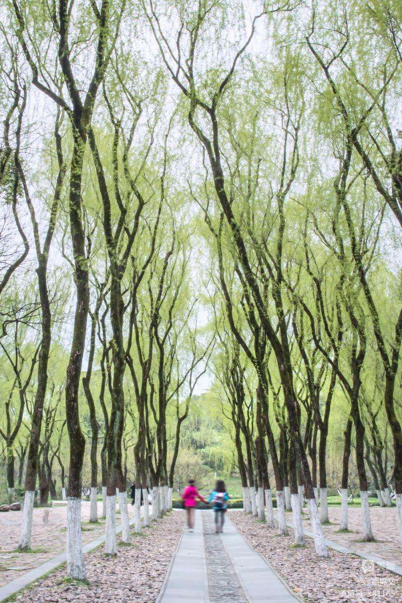 分析！查对方都在和谁聊天记录“桃红柳绿”