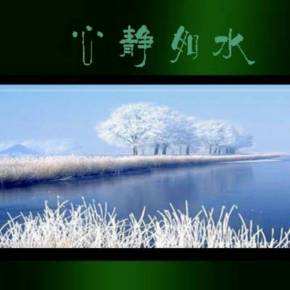 达人分享！心静如水的意思“雁过留声”