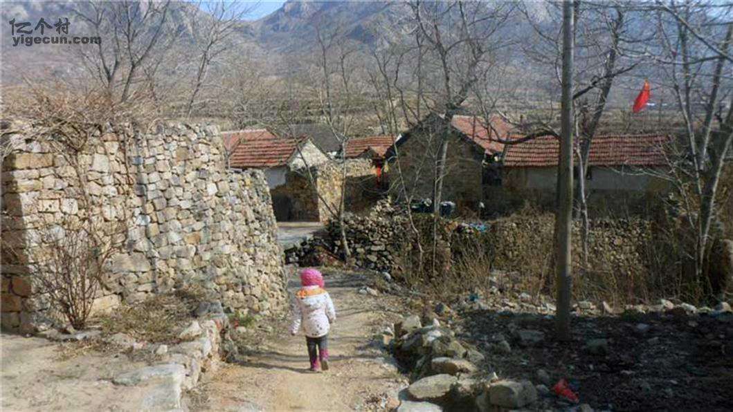 分析！莱阳黄龙玉“典则俊雅”