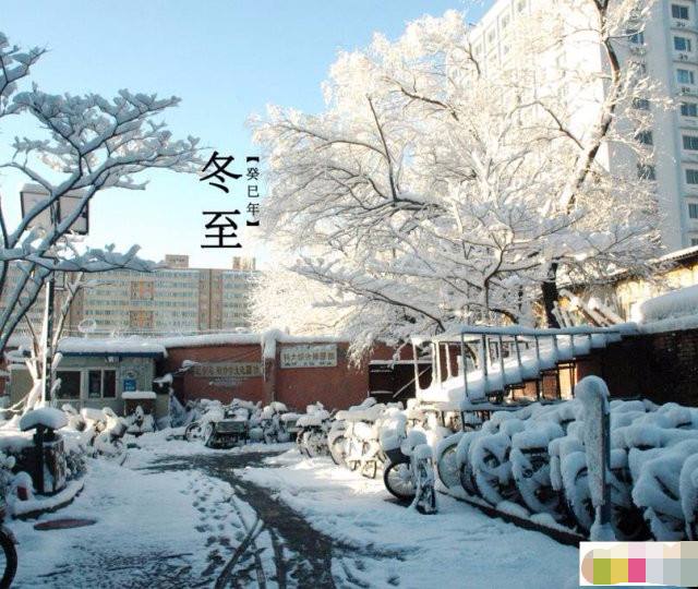 达人分享！立冬和冬至哪个吃饺子“雁过留声”