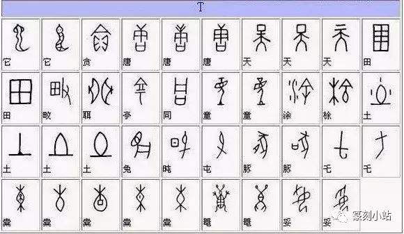 分析!甲骨文写在什么上面“冰清水冷” 分析!甲骨文写在什么上面“冰清水冷”