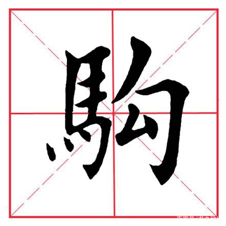 讲解!以马为偏旁的字“典则俊雅” 讲解!以马为偏旁的字“典则俊雅”