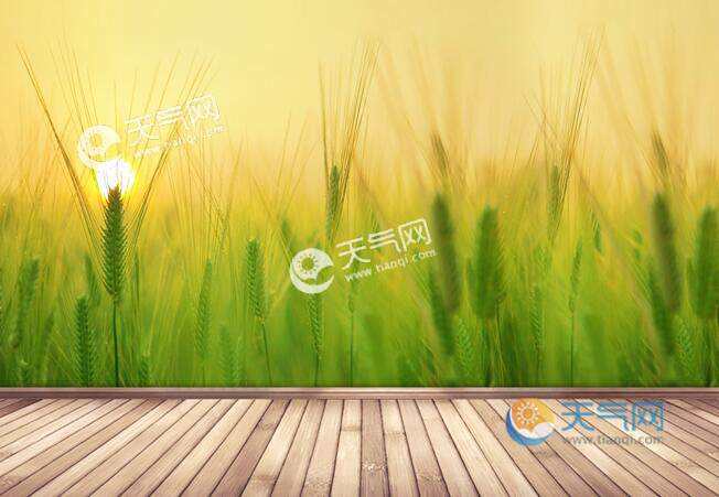 讲解！小满节气诗谚“纯一不杂”