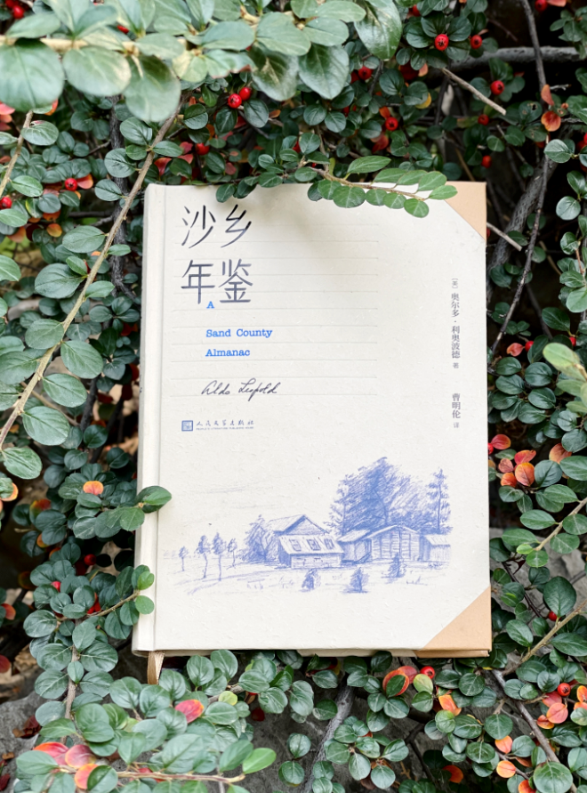 分析！军情前哨站“雁过留声”