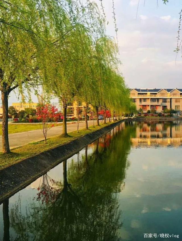 讲解!快搜问答“桃红柳绿” 讲解!快搜问答“桃红柳绿”