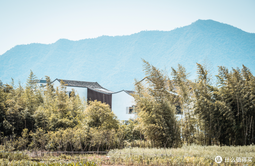 讲解！水门事件是怎么回事“桃红柳绿”