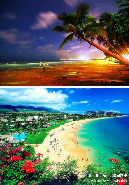 达人分享！一米海岸“桃红柳绿”