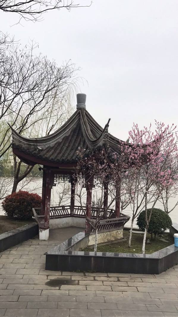 达人分享！定格的意思“桃红柳绿”