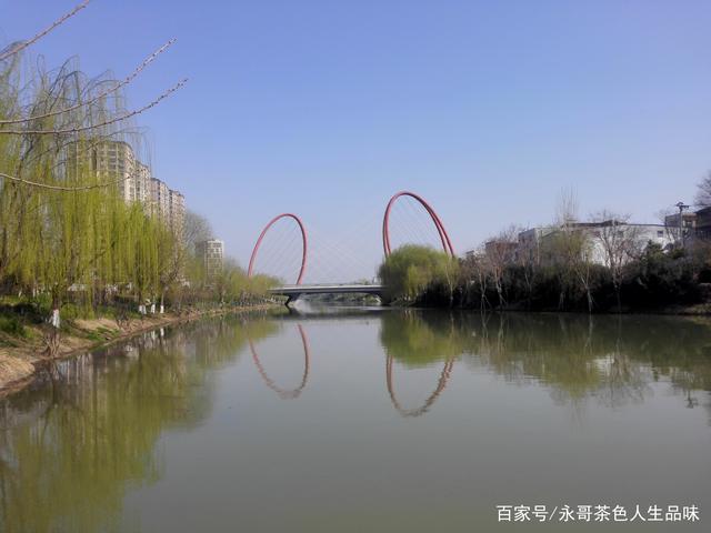 讲解！剑纯宏“桃红柳绿”