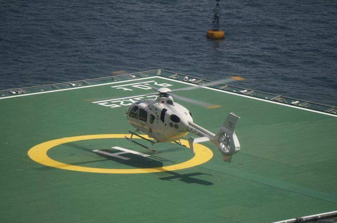 达人分享！深圳直通香港机场“桃红柳绿”