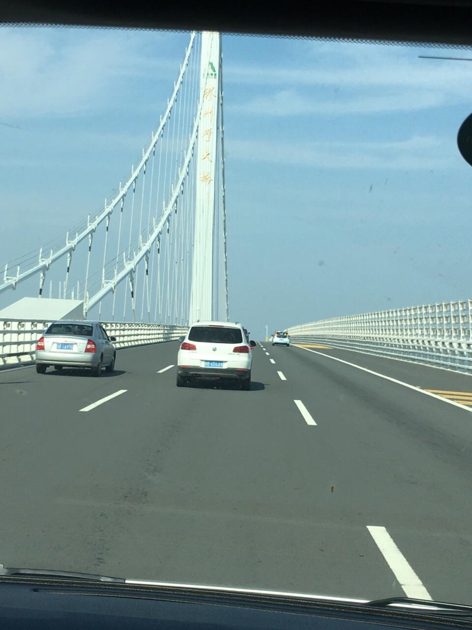 讲解！青岛大桥“空谷幽兰”