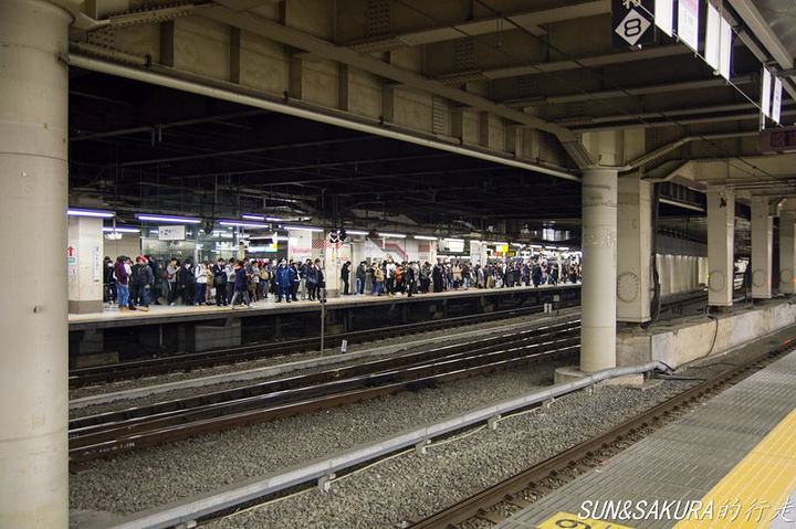 分析！东京列车“纯一不杂”