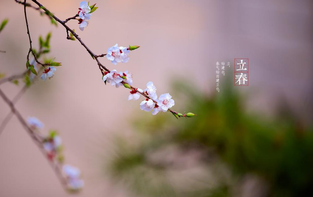 详情！2020年2月4号几点打春“郢中白雪”