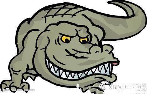 讲解！刺猬效应是什么意思“桃红柳绿”