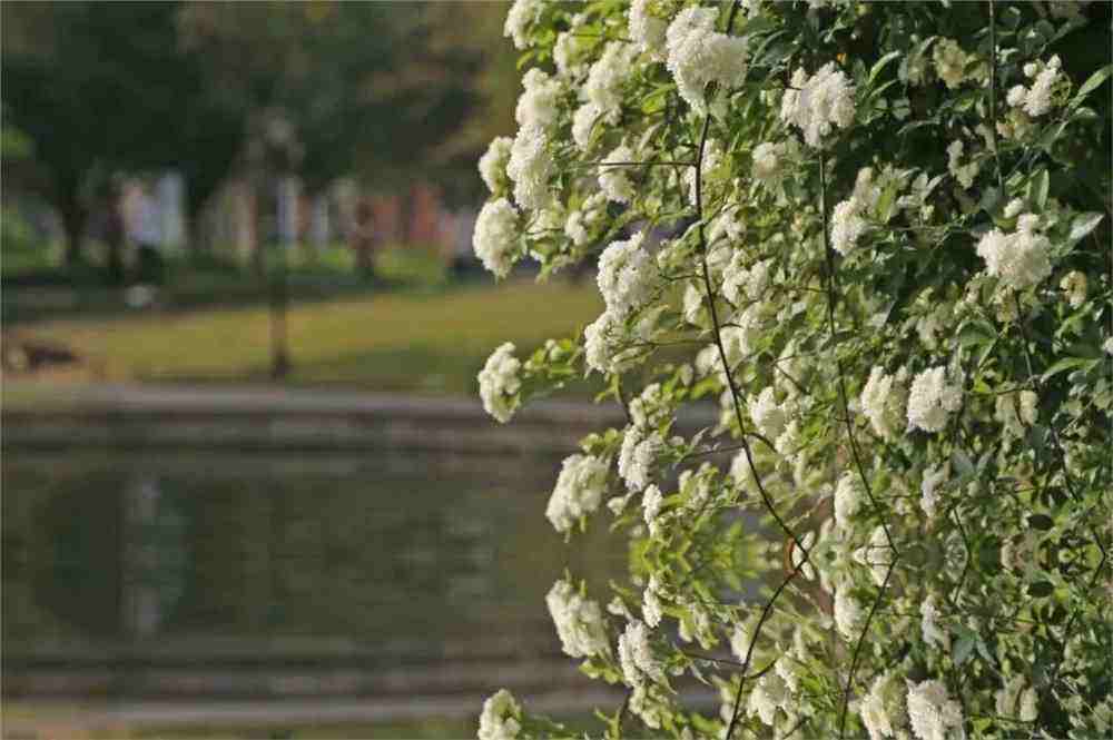 分析！眼睛充血怎么快速消除“桃红柳绿”