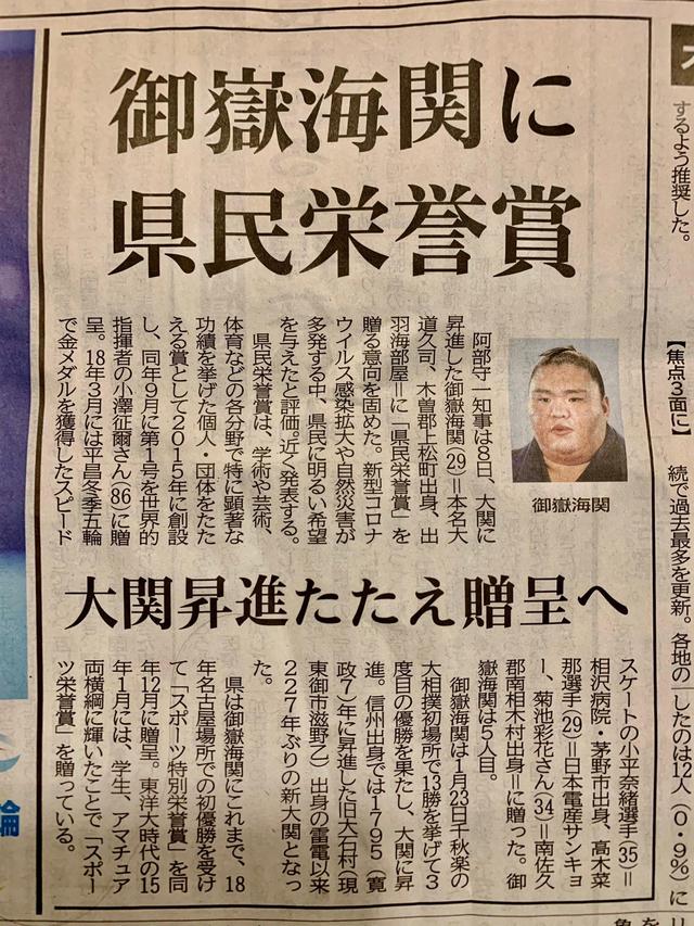 分析！日本大相扑“高情逸态”