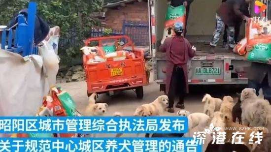 讲解！杭州规定遛狗时间